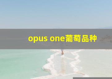 opus one葡萄品种